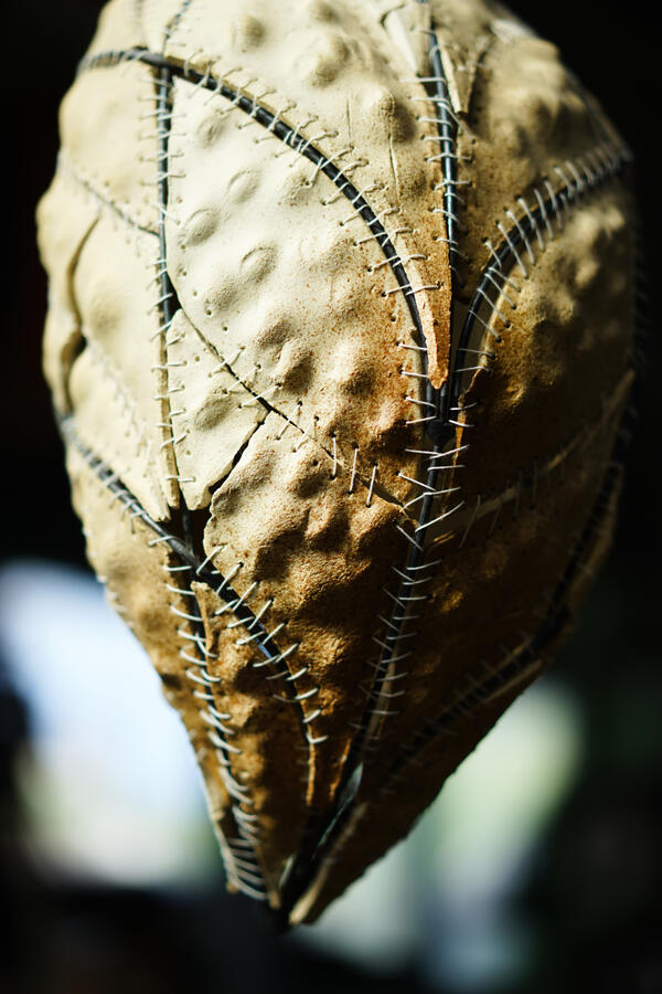 Untitled Untitled