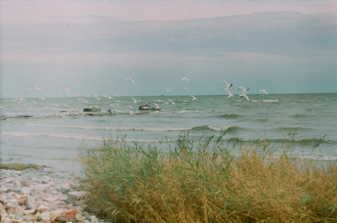 Untitled Untitled