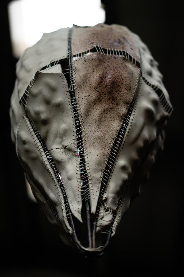 Untitled Untitled